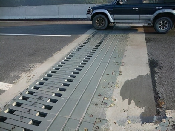 6986989.jpg 6986989.jpg